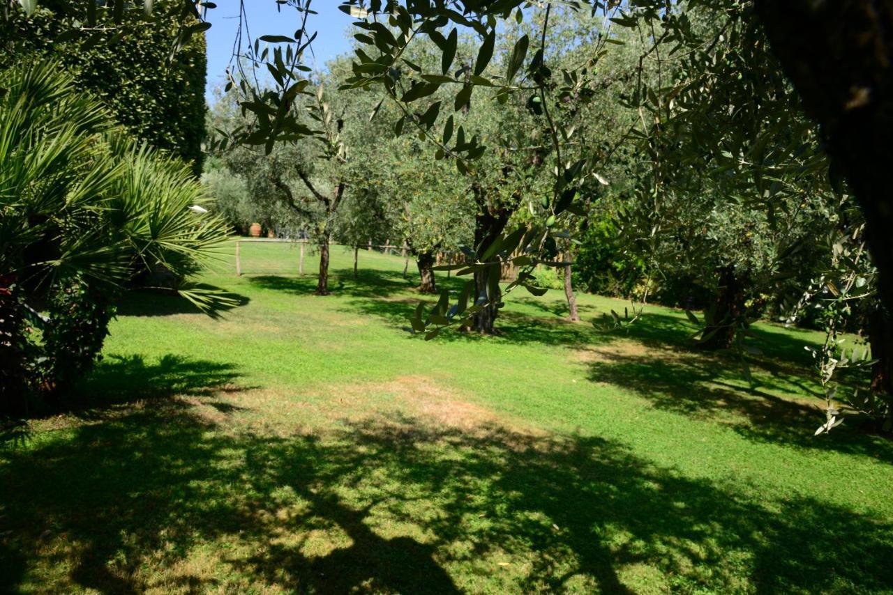Agriturismo Corte Stefani Capannori Exterior foto