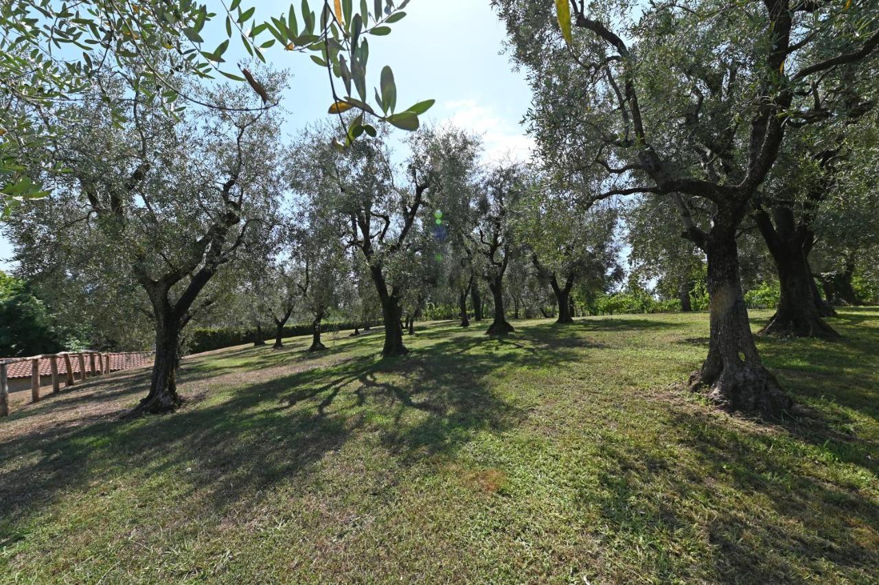 Agriturismo Corte Stefani Capannori Exterior foto